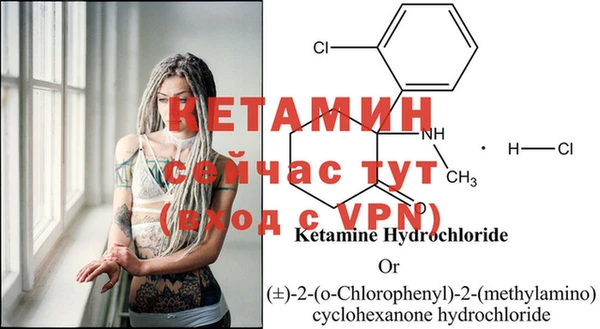 дмт Ладушкин