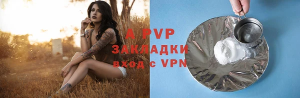 дмт Ладушкин