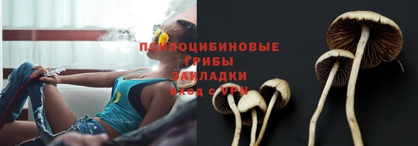 дмт Ладушкин