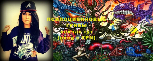 дмт Ладушкин