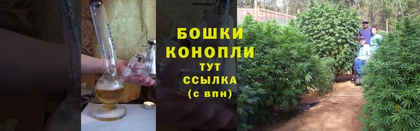 дмт Ладушкин