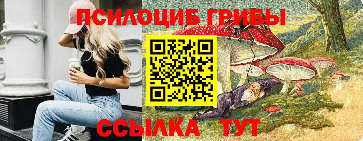 Галлюциногенные грибы Cubensis Партизанск