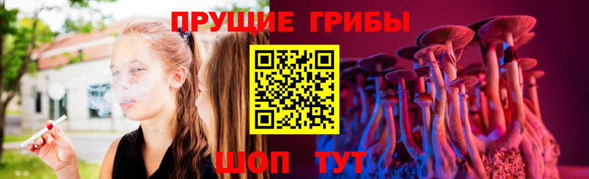 Партизанск  Псилоцибиновые грибы Psilocybe  где можно купить   Вход с VPN 
